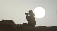 Cena do episódio 23 de É Minha Luz