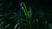 Cena do episódio 8 de Fatídico amor